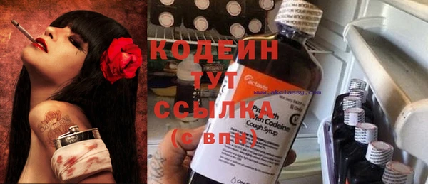дживик Новозыбков