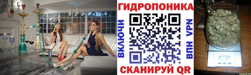 Купить  Безенчук  Канабис Amnesia 